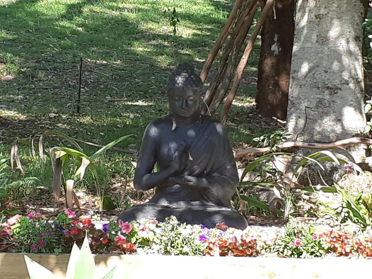 Mapleton Peaceful Provence Bnb Екстериор снимка